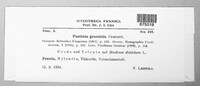 Puccinia graminis image